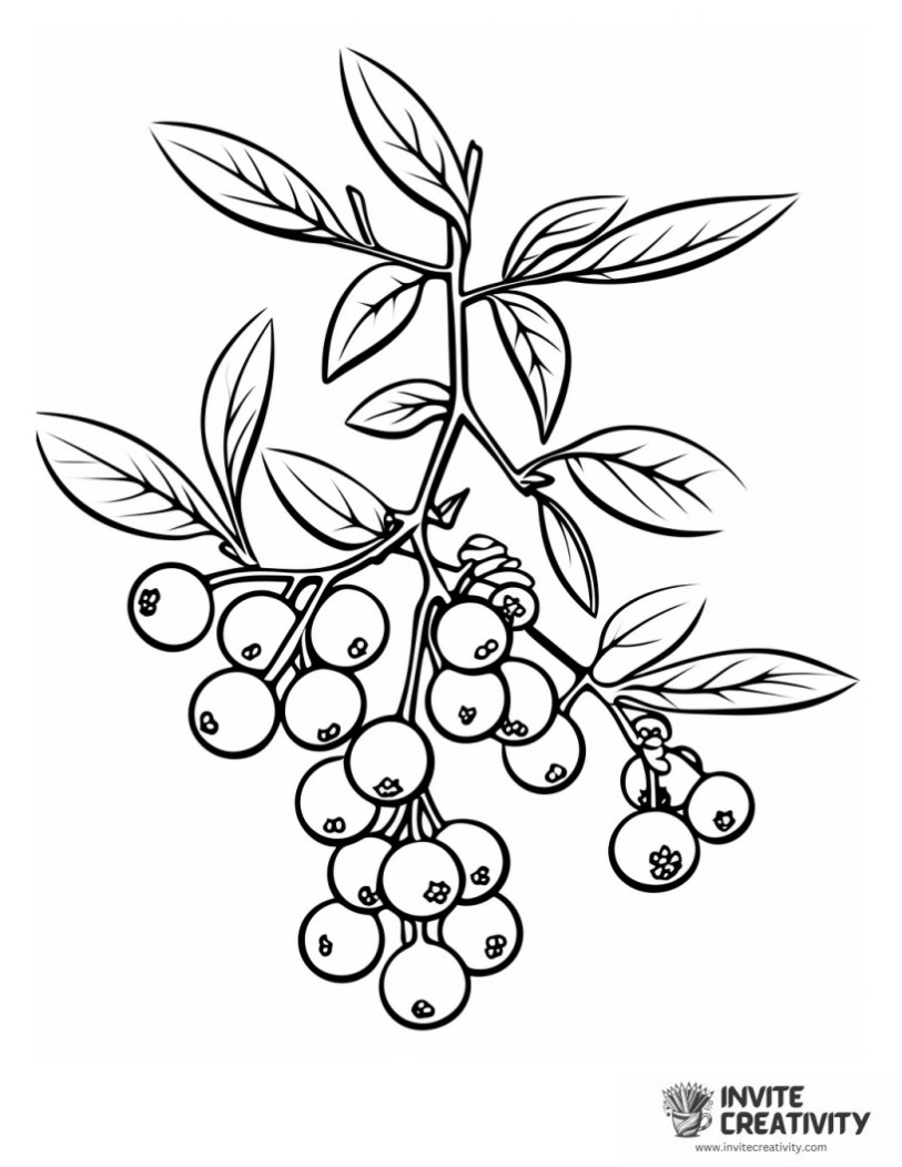 Berry coloring book page