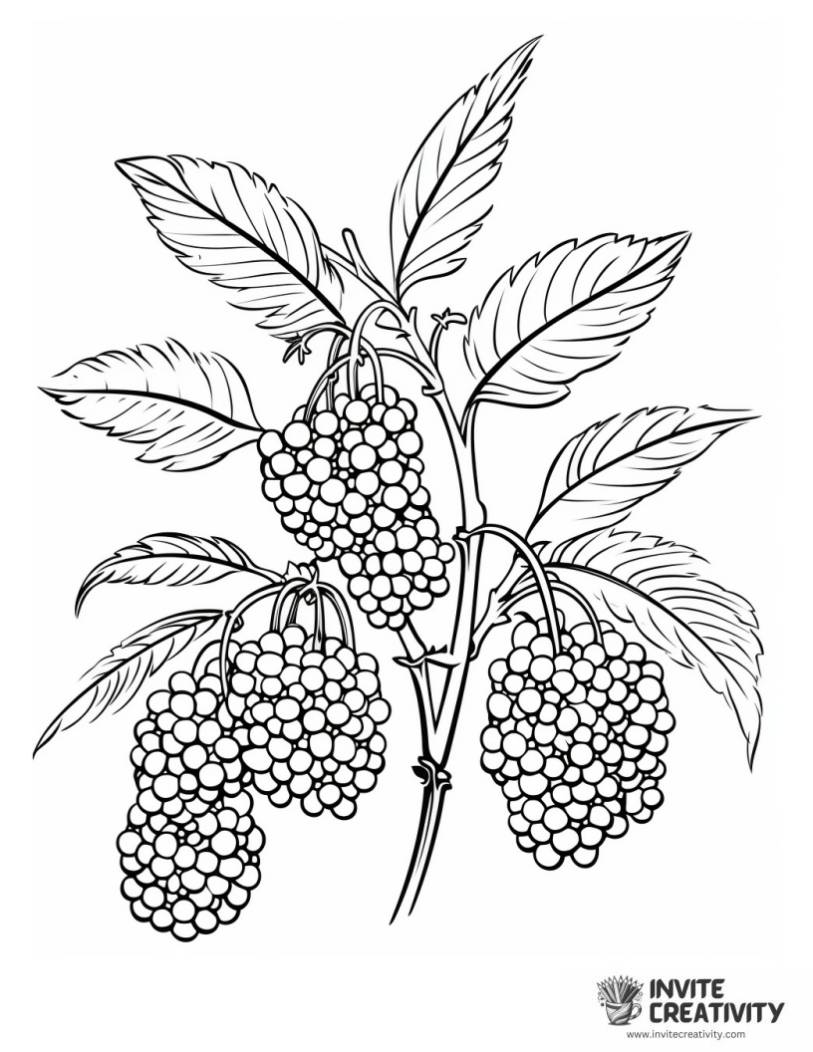 Berry coloring sheet