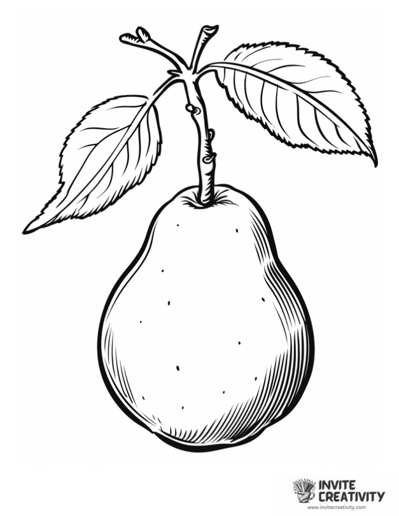 Pear fruit to color