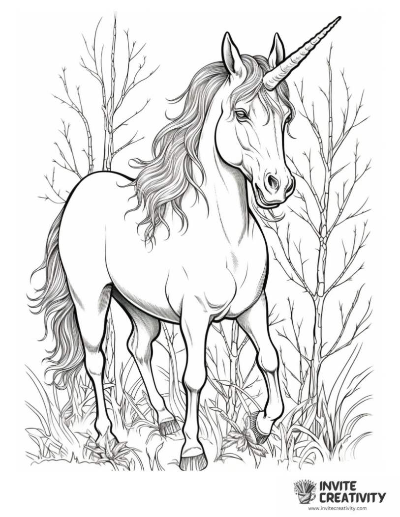 beautiful realistic unicorn coloring book page