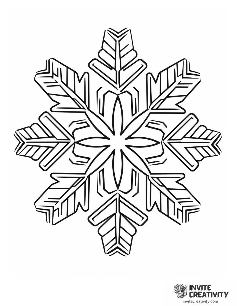 beautiful snowflake illustration
