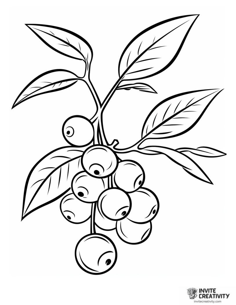 big blueberry coloring page