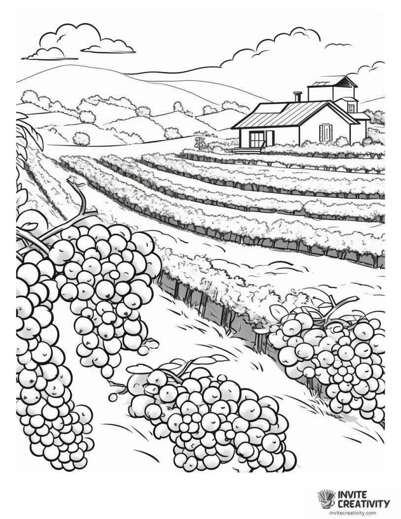 blueberry farm coloring page