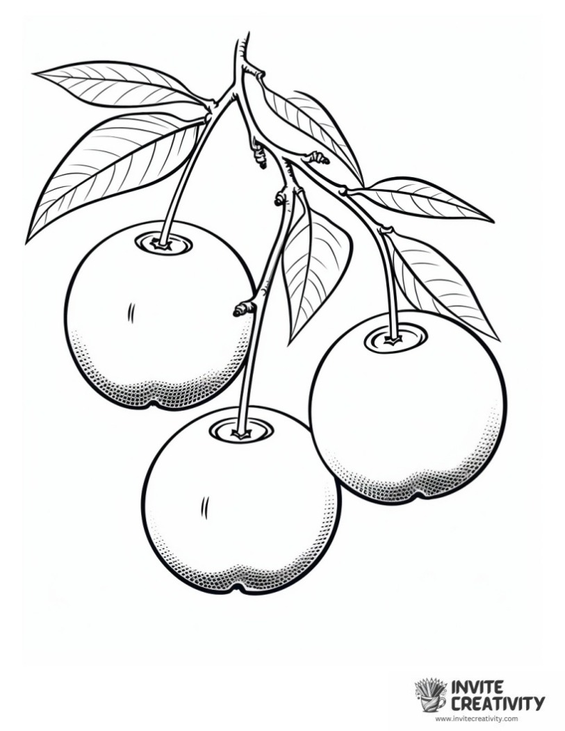 coloring page of Cherries