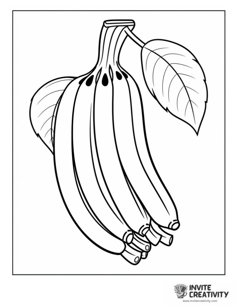 coloring page of banana
