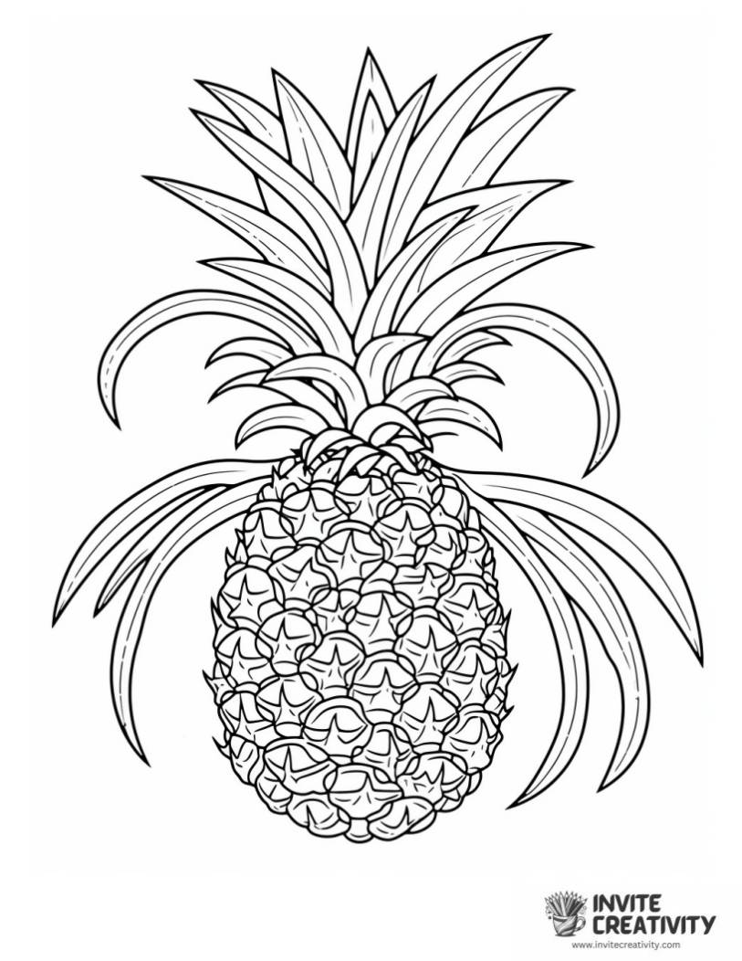 coloring page of pineapple