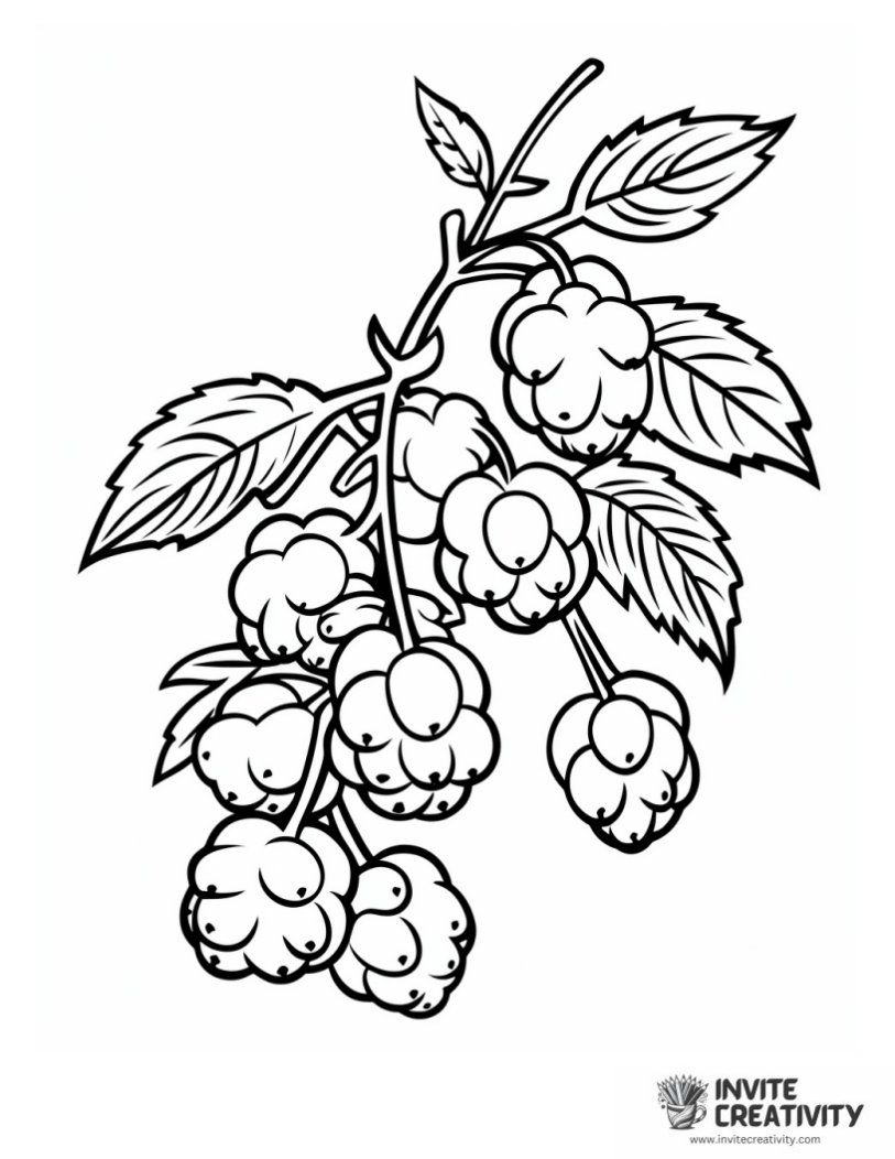 coloring sheet of Berry