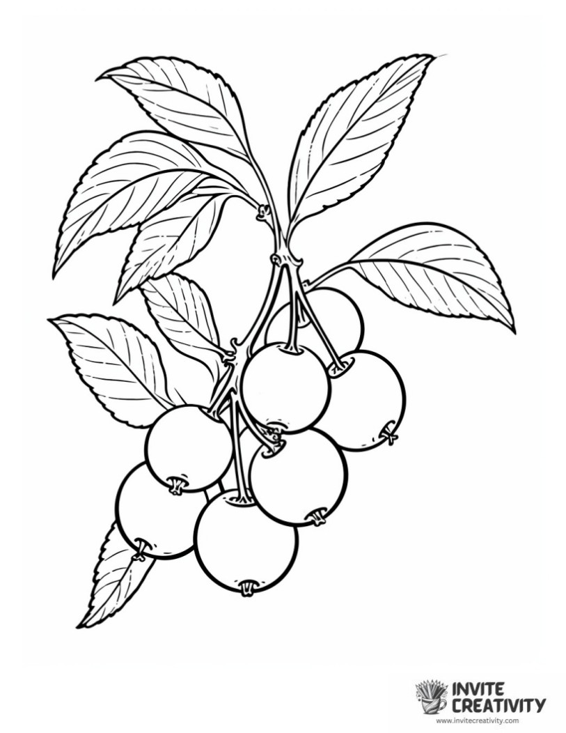 coloring sheet of cherry