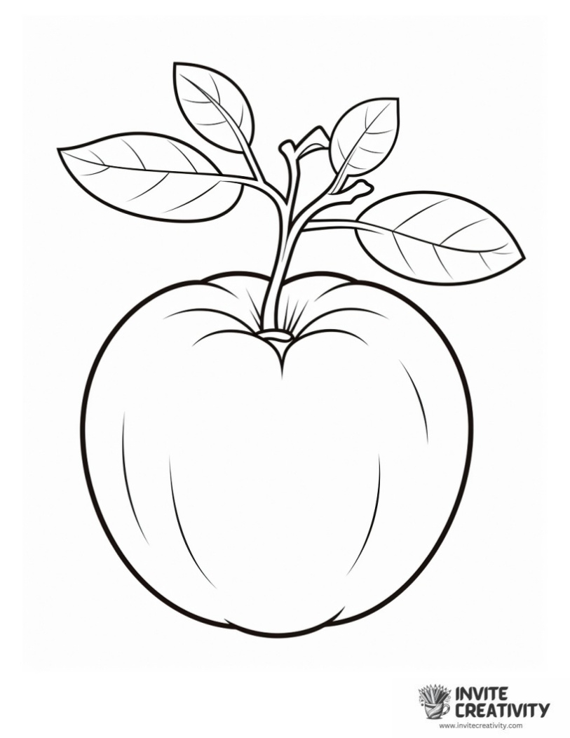coloring sheet of tomato