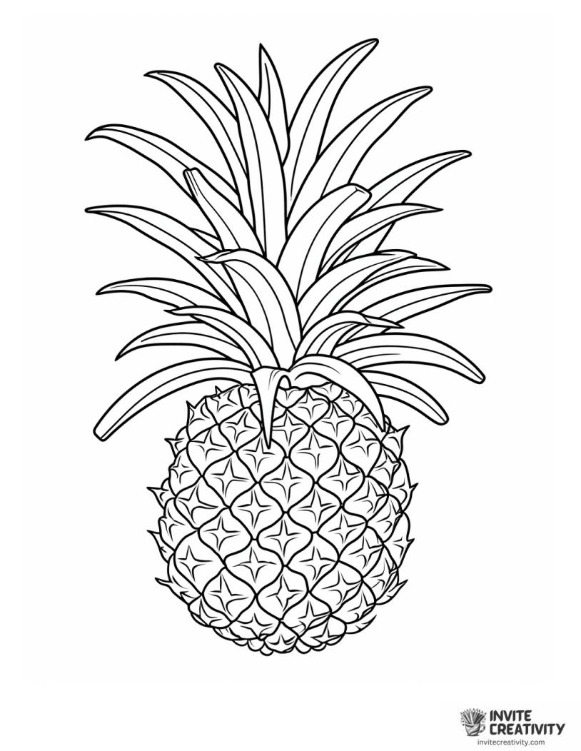 cool pineapple drawing to color