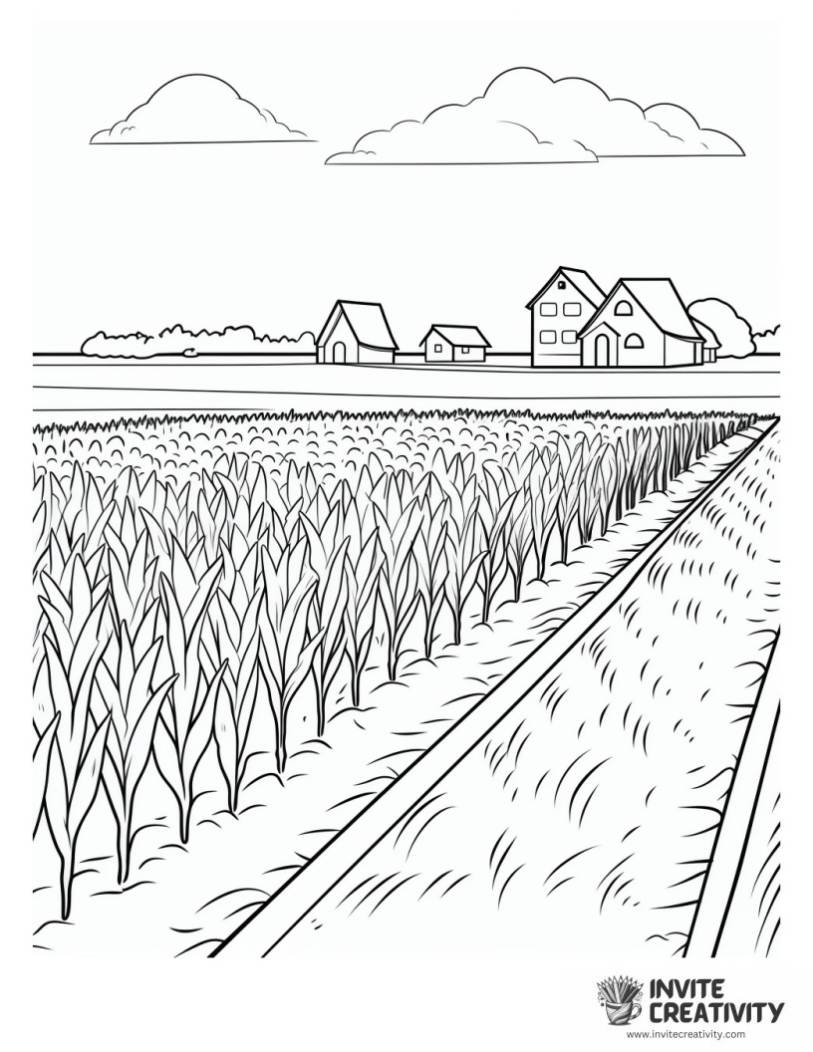 corn field coloring sheet