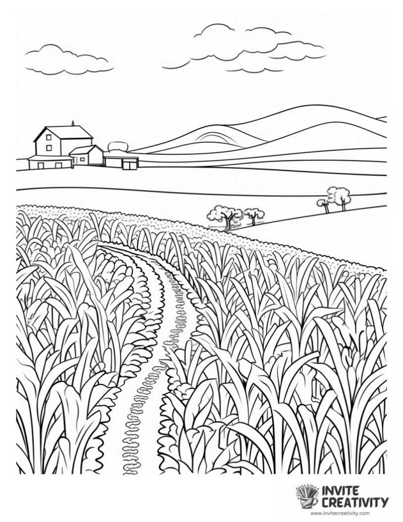 corn field for adults detailed to color