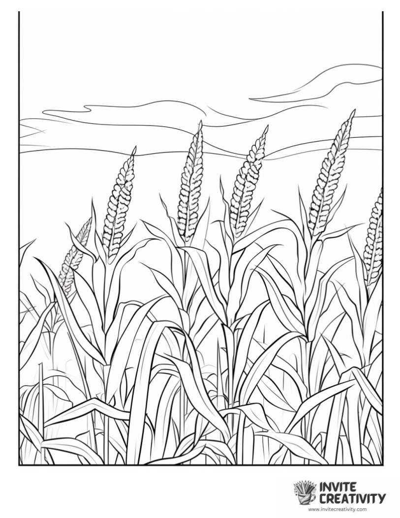 corn to color