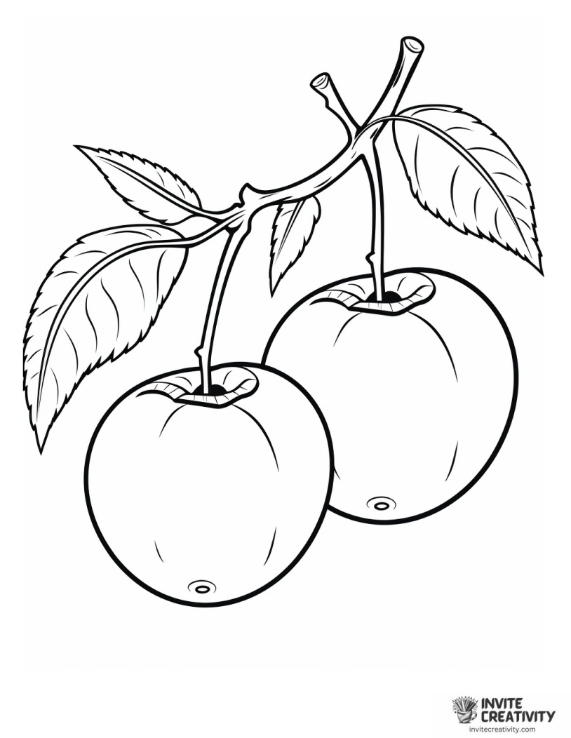 double cherry coloring sheet