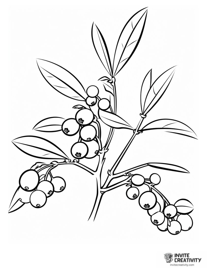 giant blueberry coloring sheet