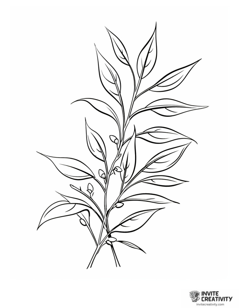 loose tea leaves coloring page