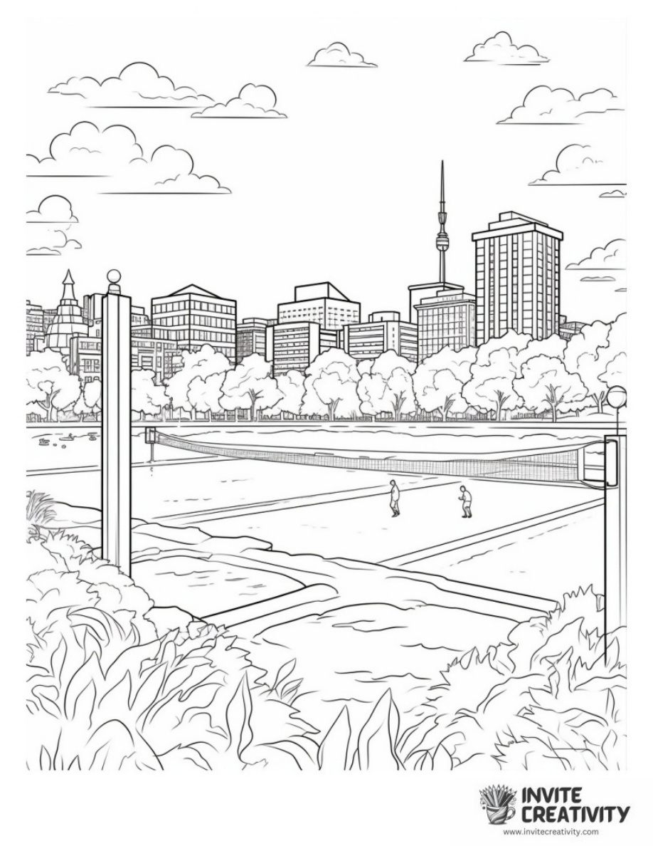 Park Volleyball for Adults Hard