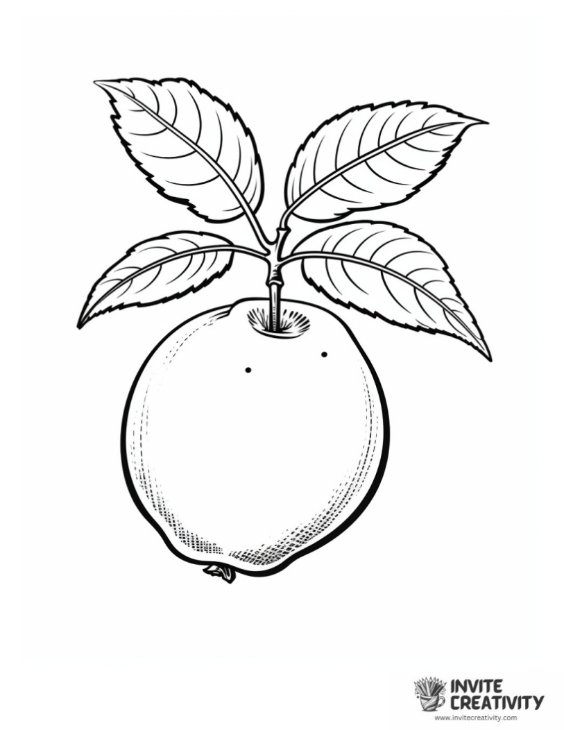 pear page to color