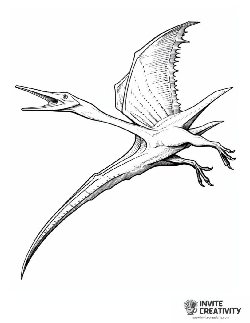 pteranodon coloring sheet