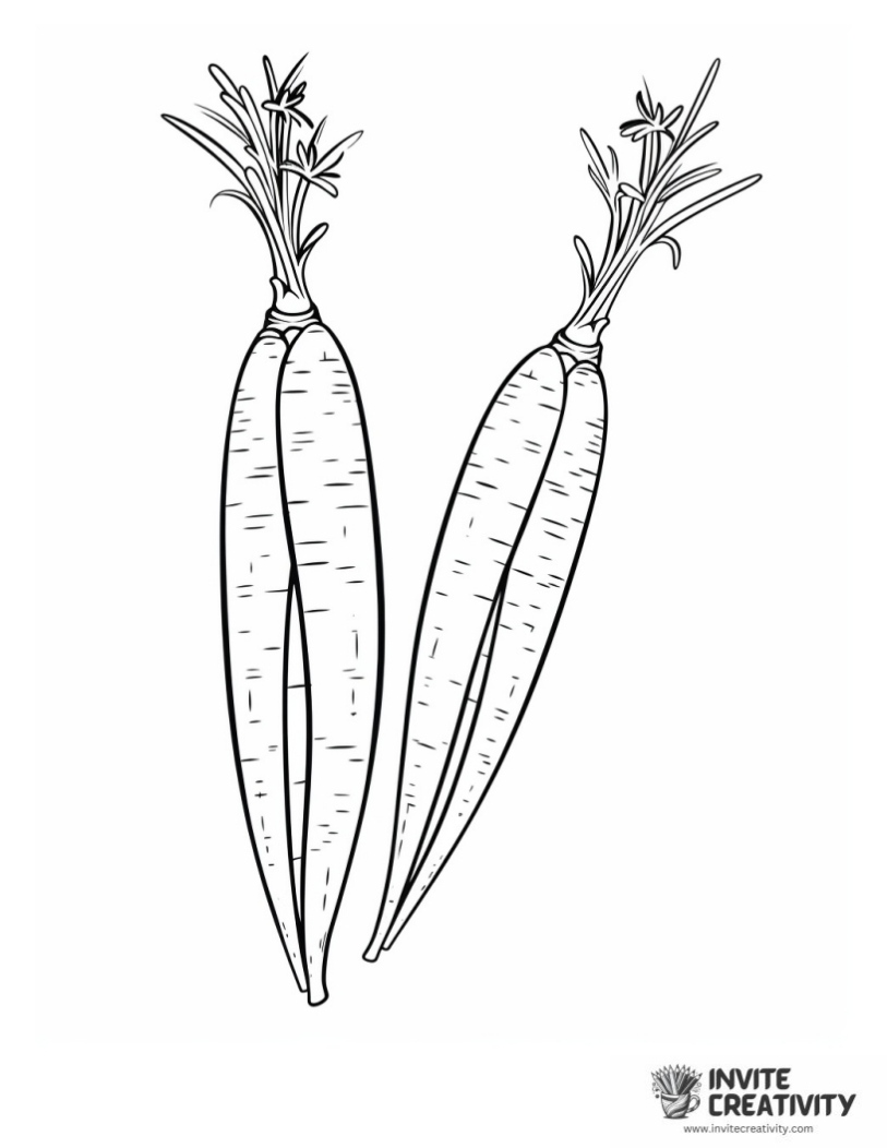 realistic pair of carrots coloring sheet