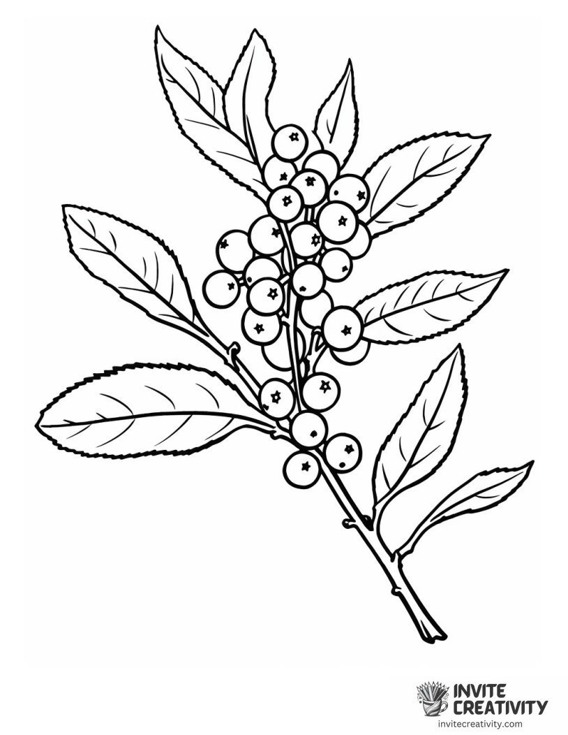 simple christmas holly To Color