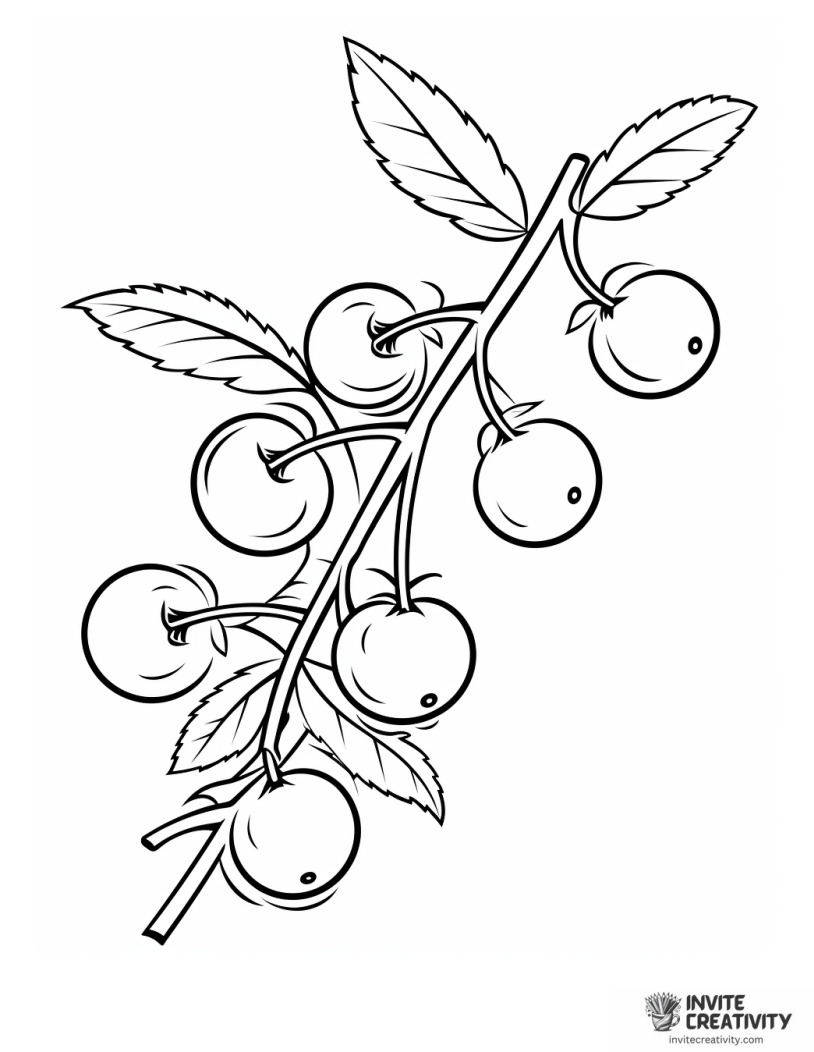 sour cherry coloring sheet
