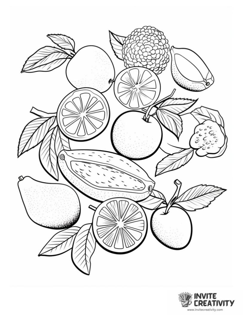 summer fruit coloring page