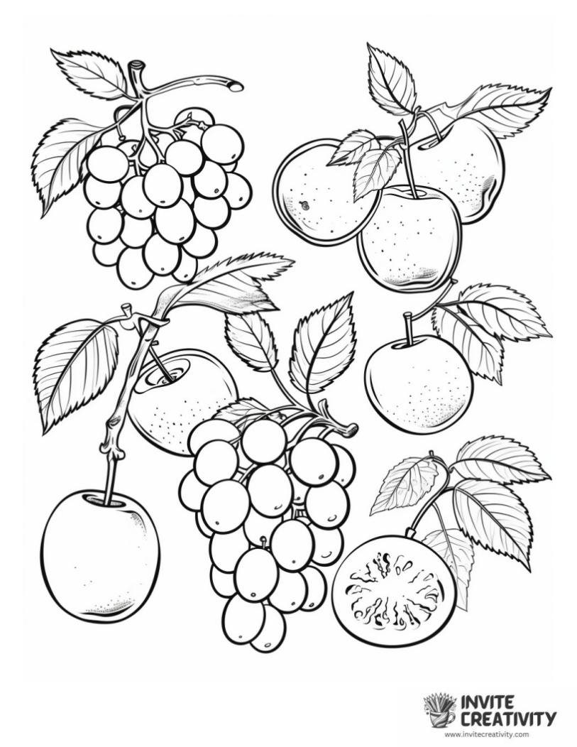 summer fruit page to color