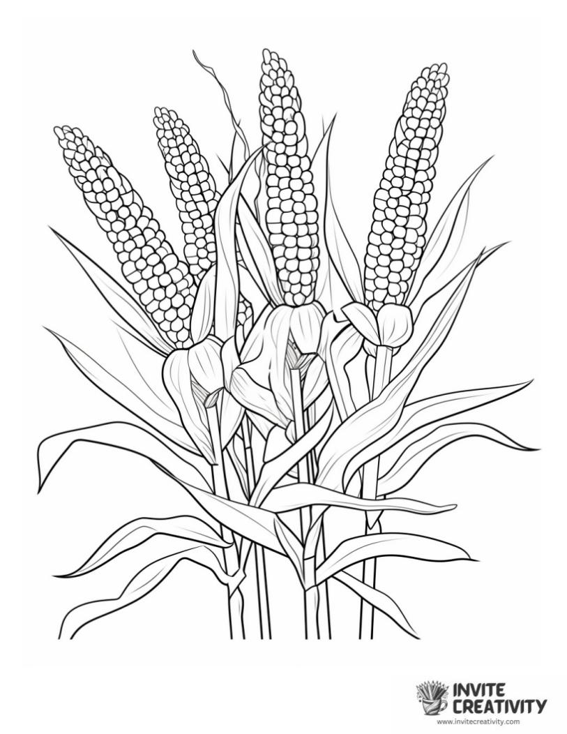 thanksgiving corn coloring page